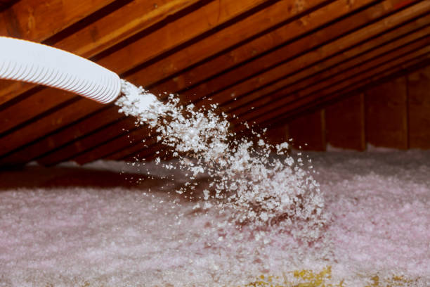 Best Insulation Maintenance and Repair in Smithville Sanders, IN